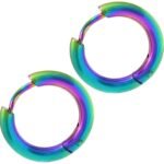 Hunky Dory Classic Earrings for Men | Women (1 Pair)